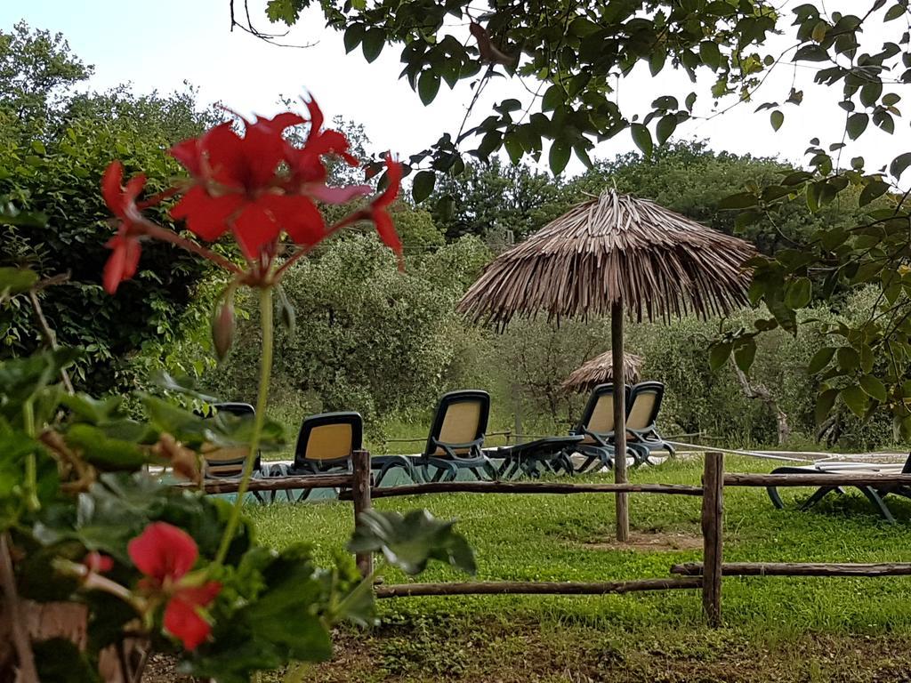 سكارلينو Tenuta Col Di Sasso المظهر الخارجي الصورة
