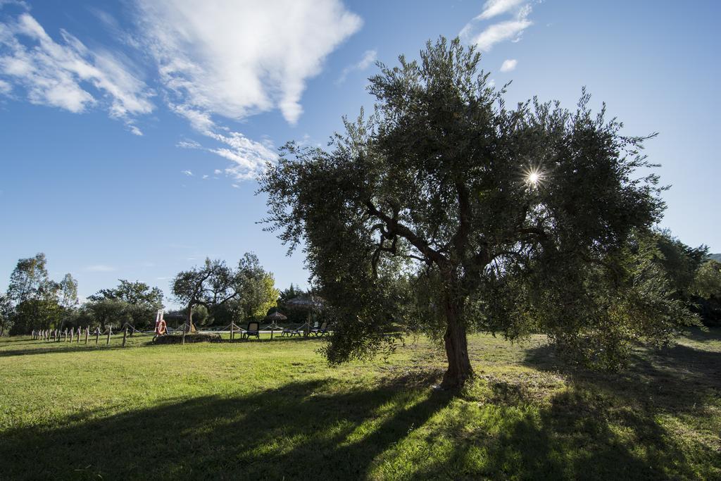 سكارلينو Tenuta Col Di Sasso المظهر الخارجي الصورة