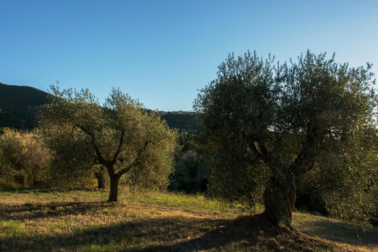 سكارلينو Tenuta Col Di Sasso المظهر الخارجي الصورة