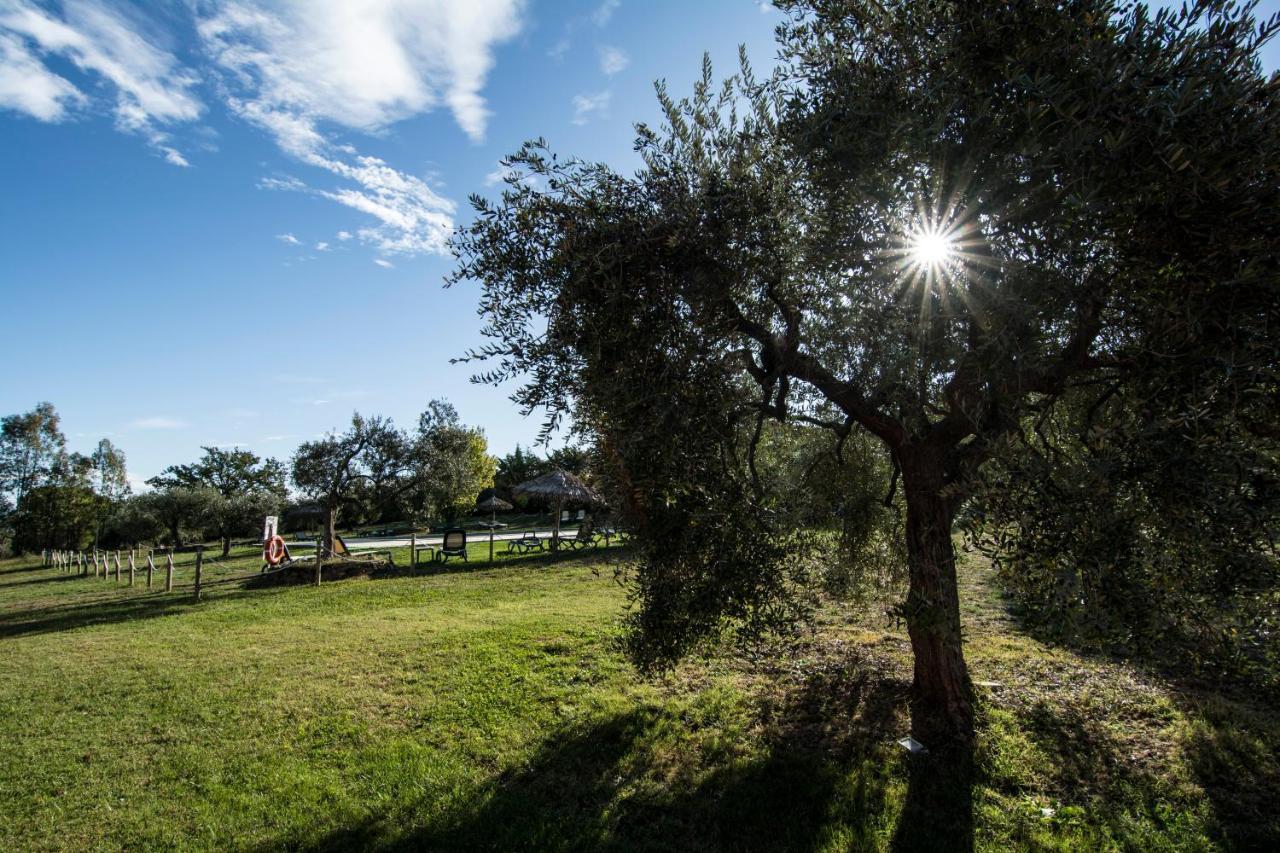 سكارلينو Tenuta Col Di Sasso المظهر الخارجي الصورة