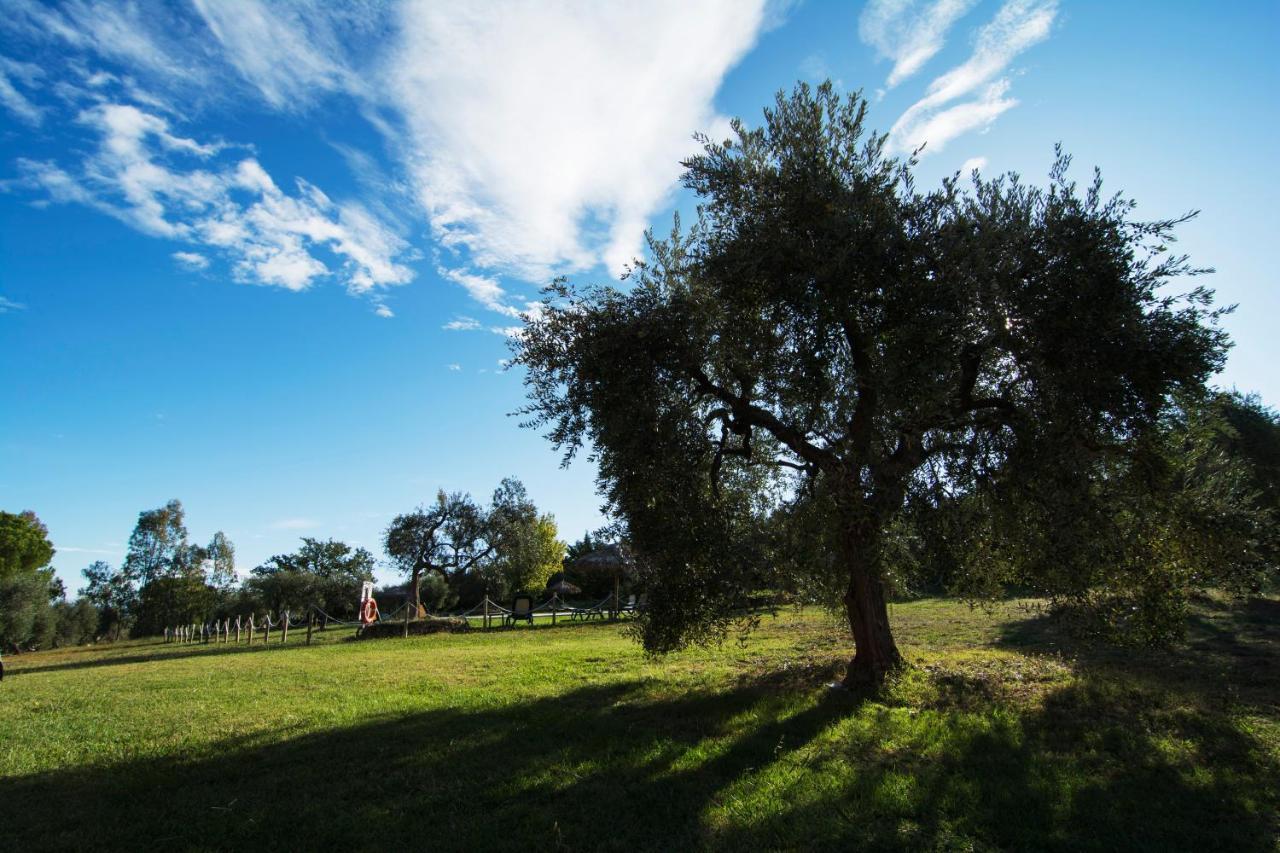 سكارلينو Tenuta Col Di Sasso المظهر الخارجي الصورة